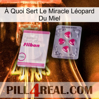 À Quoi Sert Le Miracle Léopard Du Miel 32